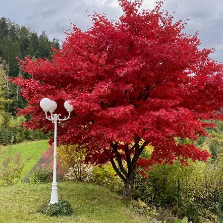 Zur Bierliebe - Mit Toller Aussicht Im Herzen Des Schwarzwaldes Apartment *