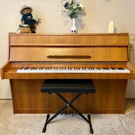 Zur Bierliebe - Mit Toller Aussicht Im Herzen Des Schwarzwaldes 아파트 호른베르크