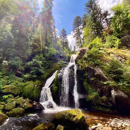 아파트 Zur Bierliebe - Mit Toller Aussicht Im Herzen Des Schwarzwaldes 호른베르크
