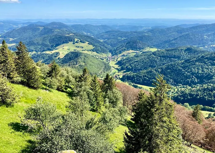 Zur Bierliebe - Mit Toller Aussicht Im Herzen Des Schwarzwaldes Daire Hornberg