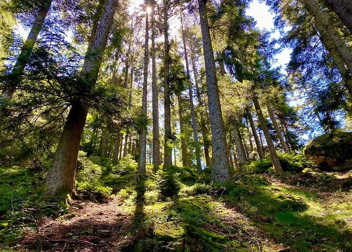 Zur Bierliebe - Mit Toller Aussicht Im Herzen Des Schwarzwaldes Daire