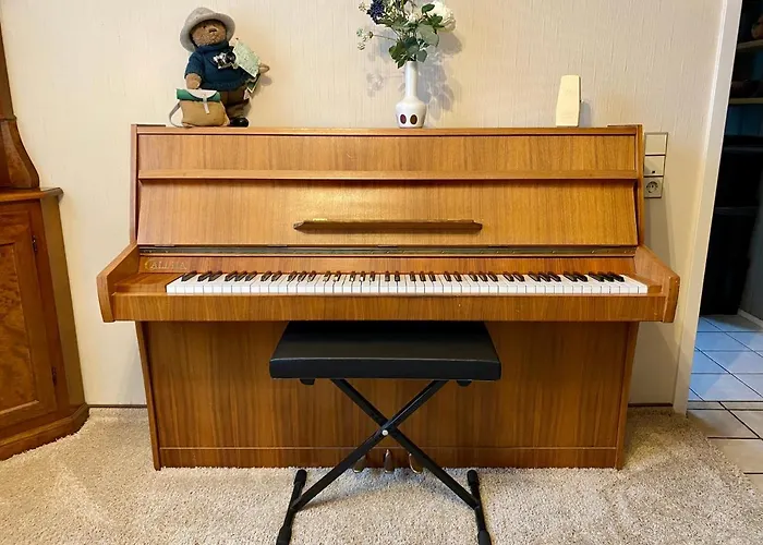 Zur Bierliebe - Mit Toller Aussicht Im Herzen Des Schwarzwaldes Daire Hornberg